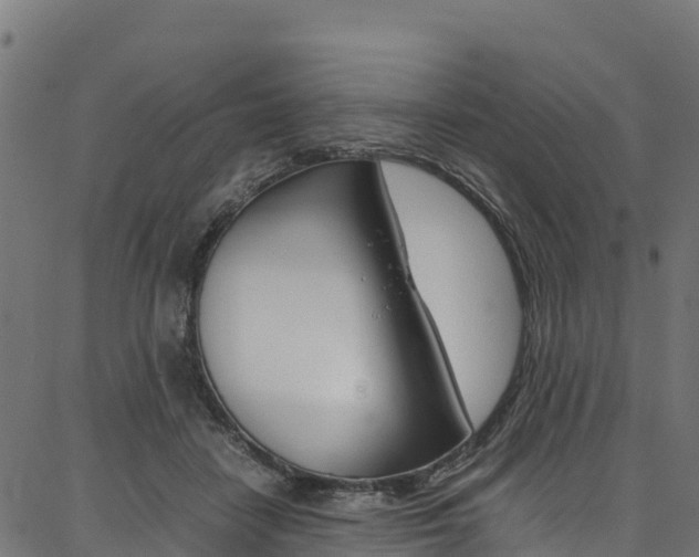 X0000086790458200704130859