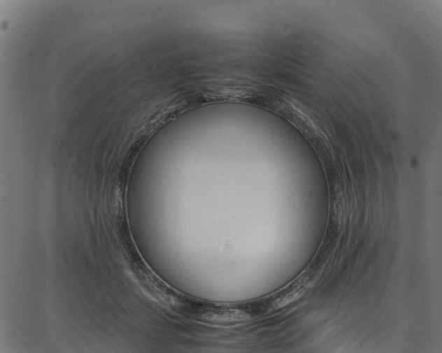 X0000086790459200704130859