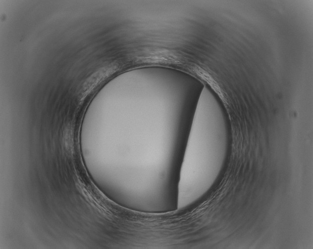 X0000086790482200704130858