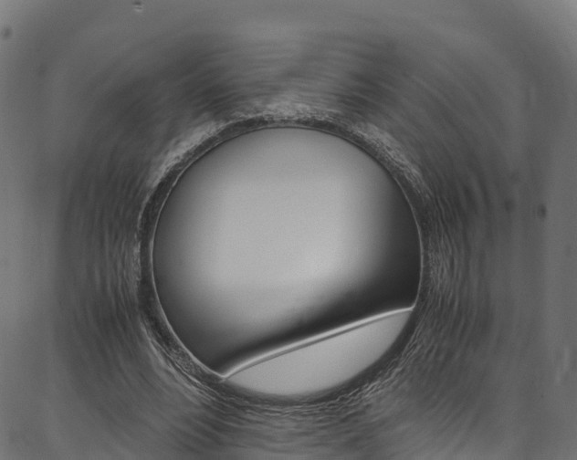 X0000086790488200704130858