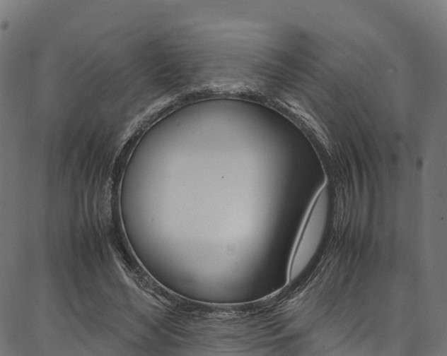 X0000086790492200704130858