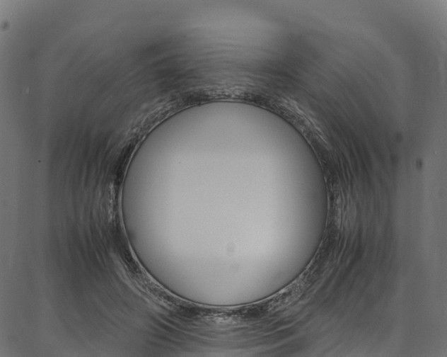 X0000086790498200704130858
