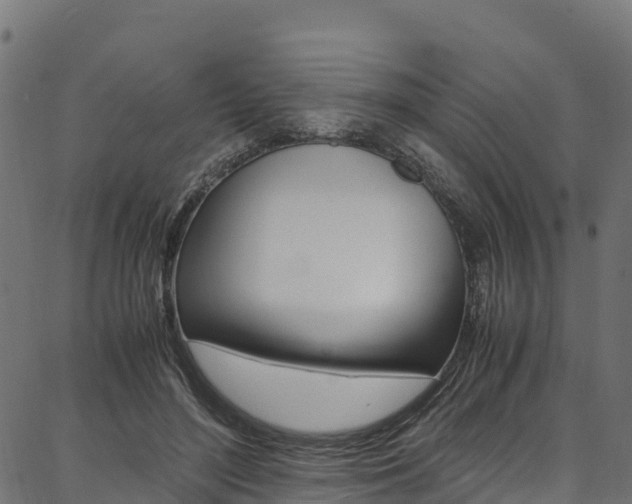 X0000086790500200704130858