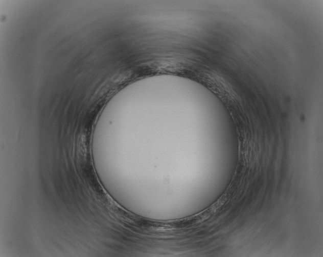 X0000086790506200704130858