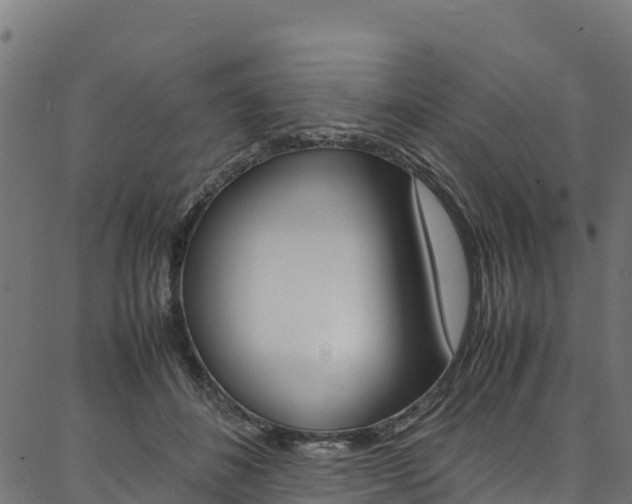 X0000086790508200704130858