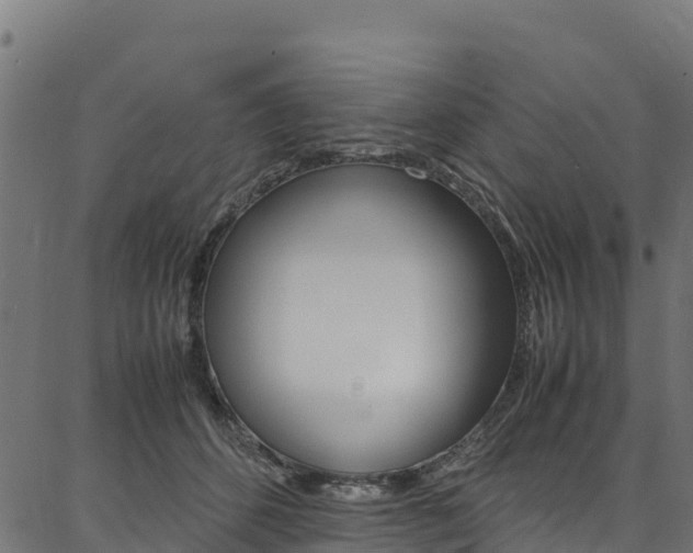 X0000086790512200704130858