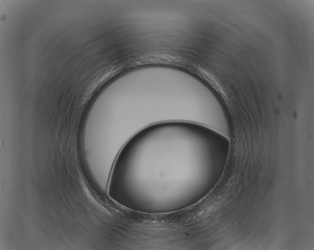 X0000086790538200704130857