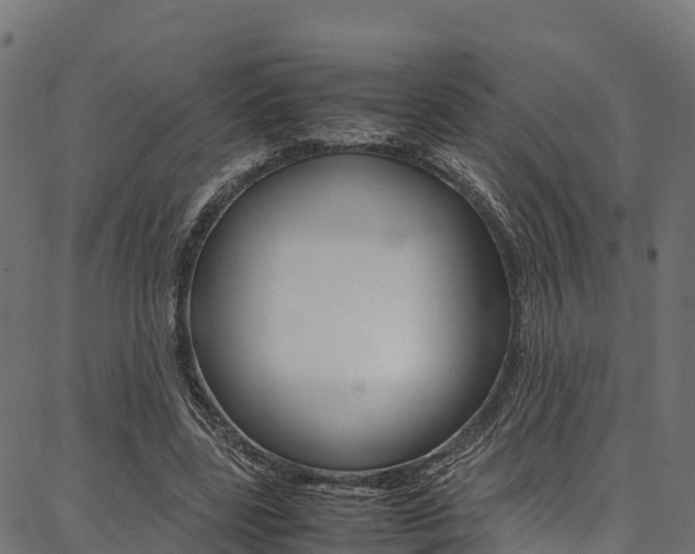 X0000086790539200704130857