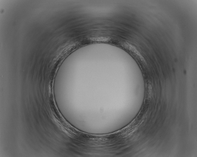 X0000086790541200704130857
