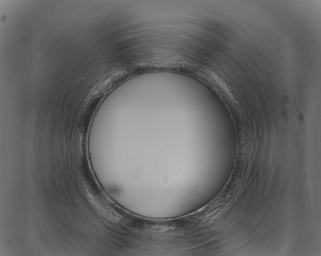 X0000086790542200704130857