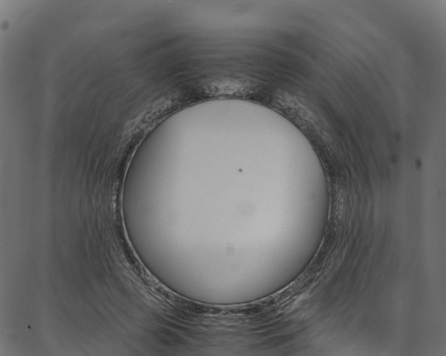 X0000086790545200704130857