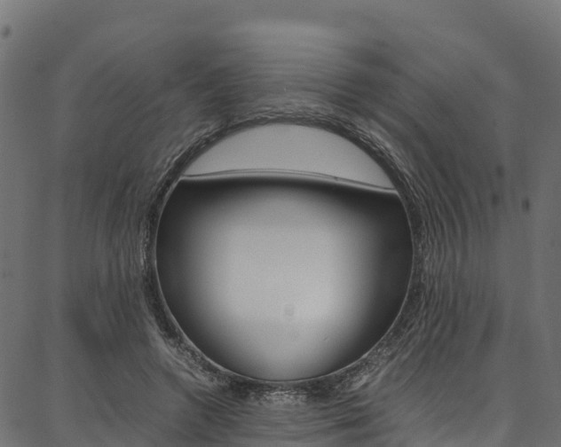 X0000086790546200704130857