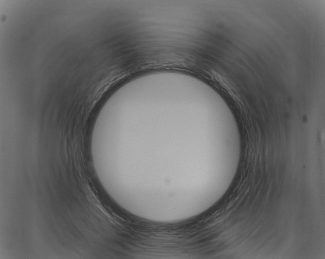 X0000086790548200704130857