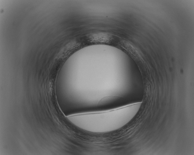 X0000086790551200704130857