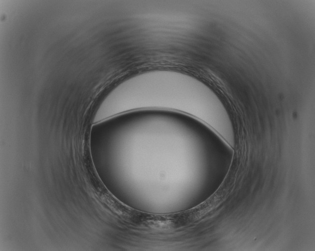 X0000086790552200704130857