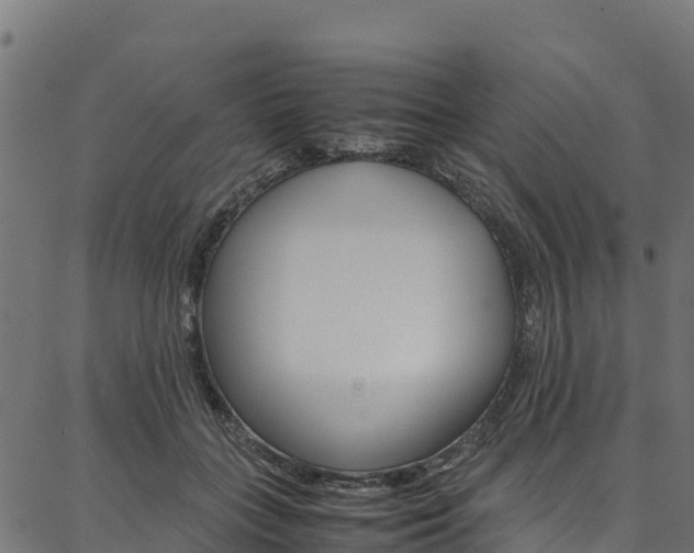 X0000086790555200704130857