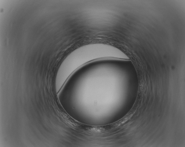 X0000086790566200704130857