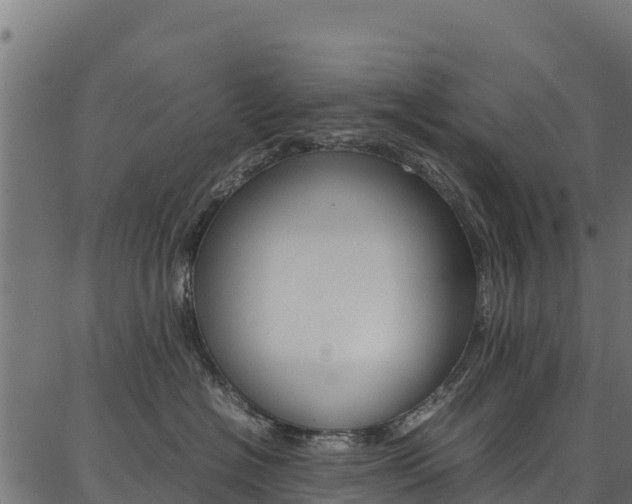 X0000086790574200704130857