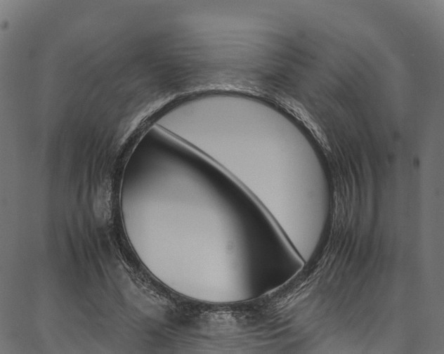 X0000086790588200704130857