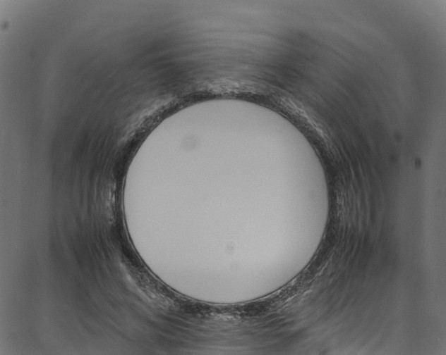 X0000086790592200704130856