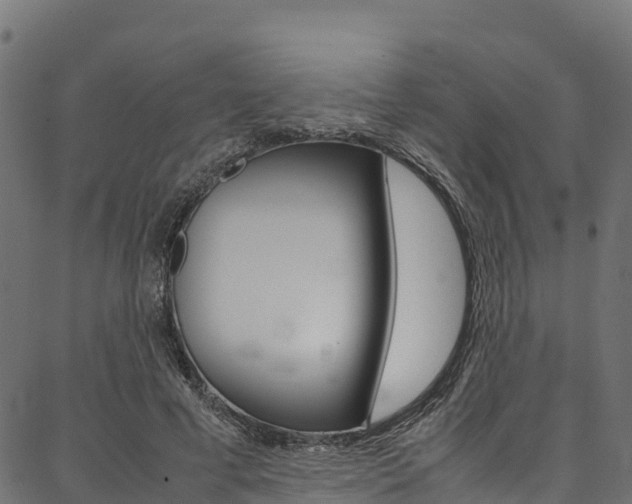 X0000086790593200704130856