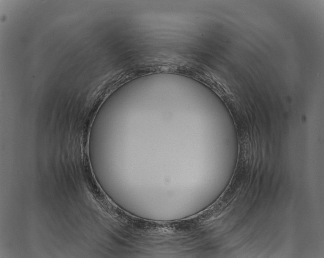 X0000086790594200704130856