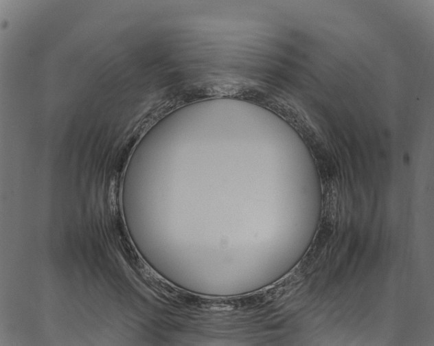 X0000086790598200704130856