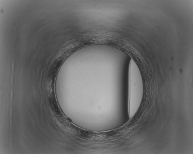 X0000086790599200704130856