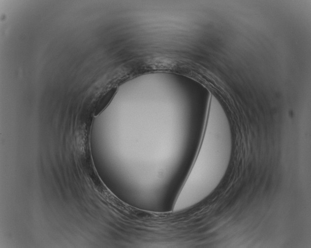 X0000086790604200704130856