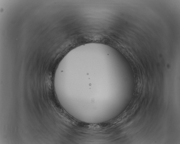 X0000086790612200704130856