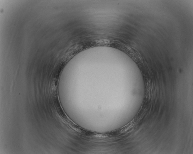 X0000086790614200704130856