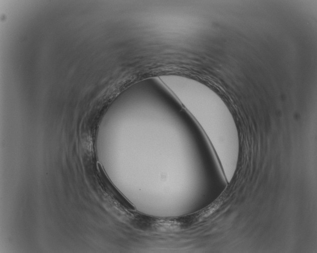 X0000086790617200704130856