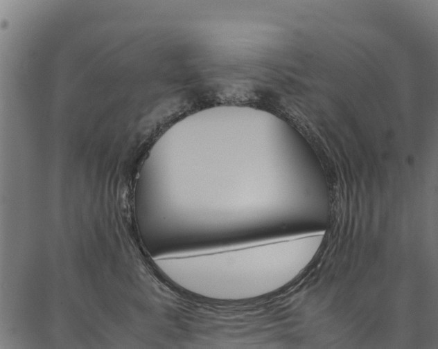 X0000086790619200704130856