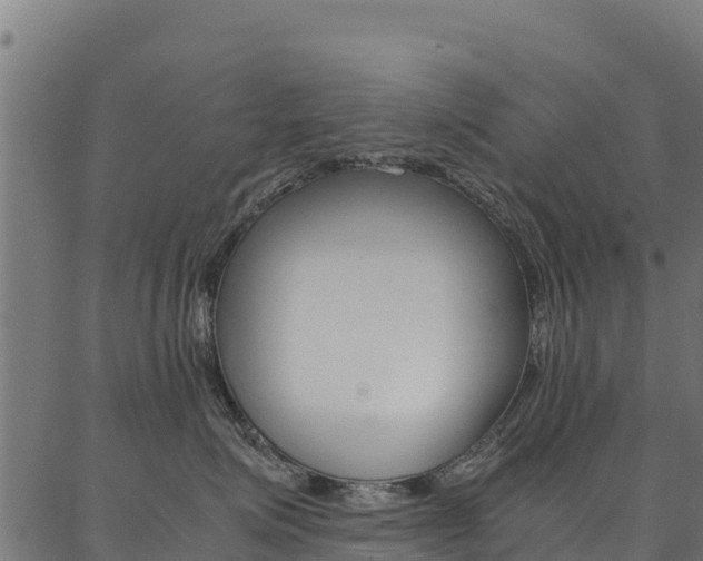 X0000086790623200704130856