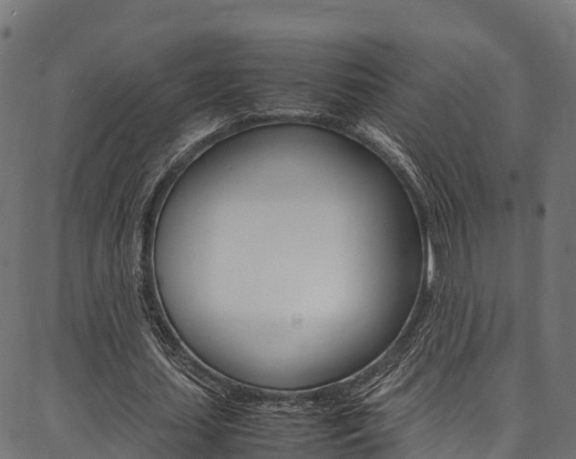 X0000086790627200704130855