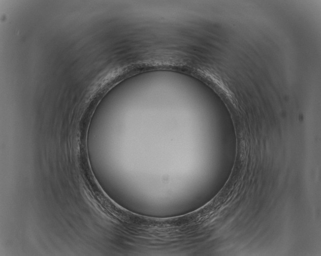 X0000086790631200704130855