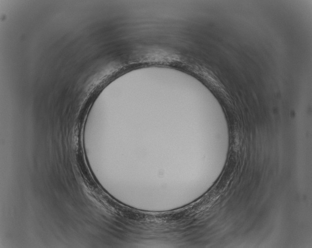 X0000086790632200704130855