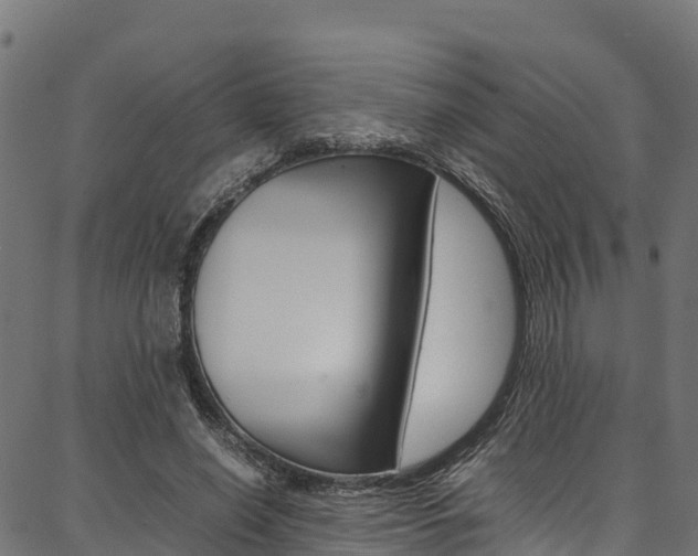 X0000086790638200704130855