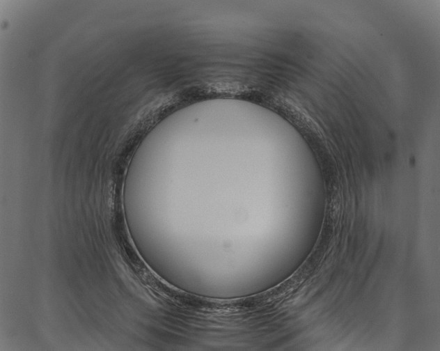 X0000086790639200704130855