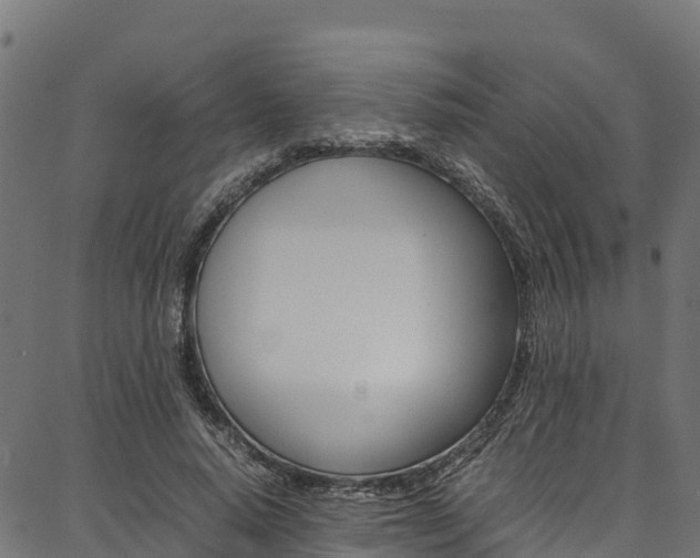 X0000086790640200704130855