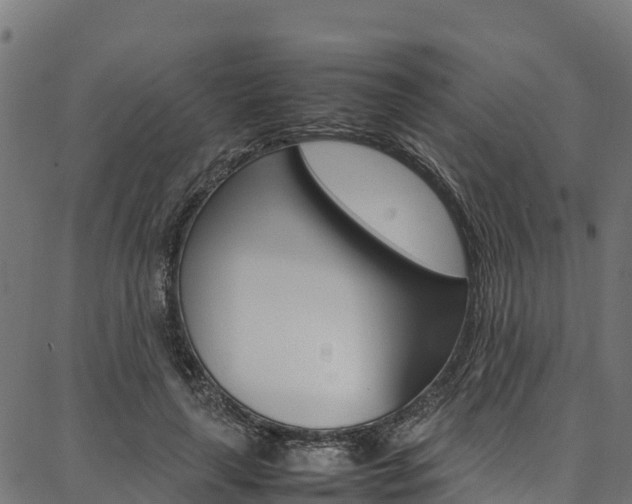 X0000086790643200704130855