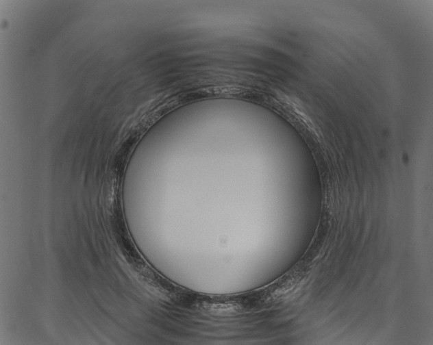X0000086790645200704130855
