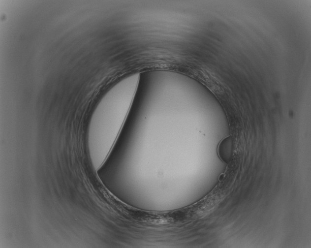 X0000086790646200704130855