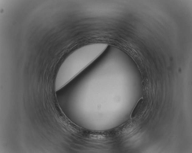 X0000086790649200704130856