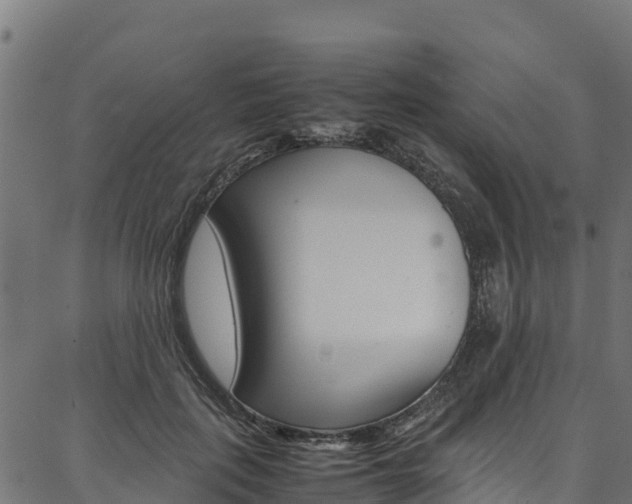 X0000086790651200704130856