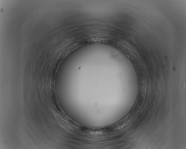 X0000086790653200704130856