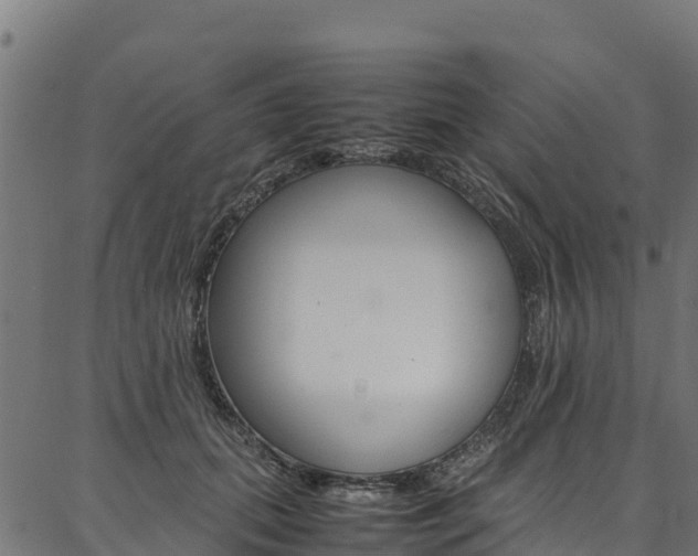 X0000086790655200704130856