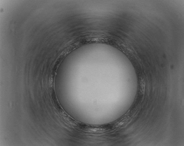 X0000086790657200704130856