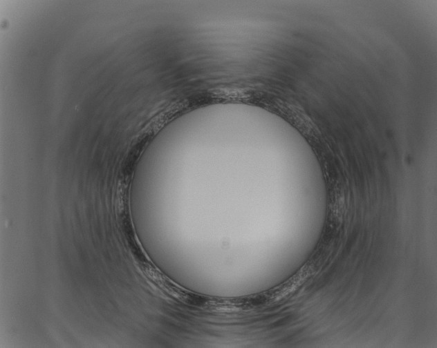 X0000086790658200704130856