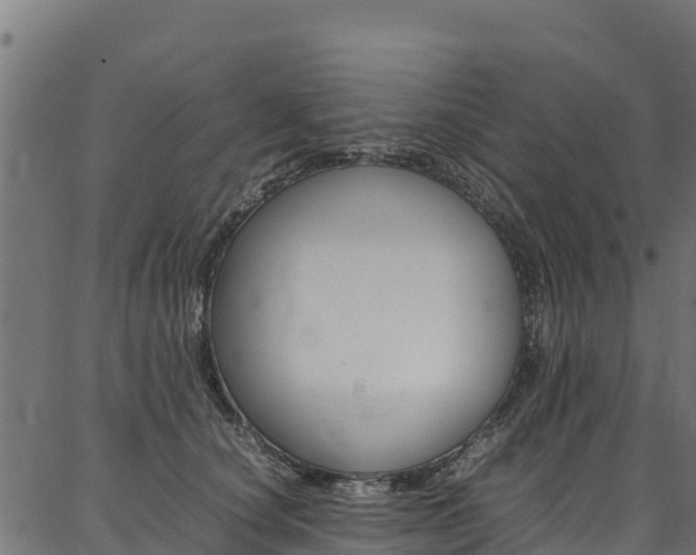 X0000086790660200704130856